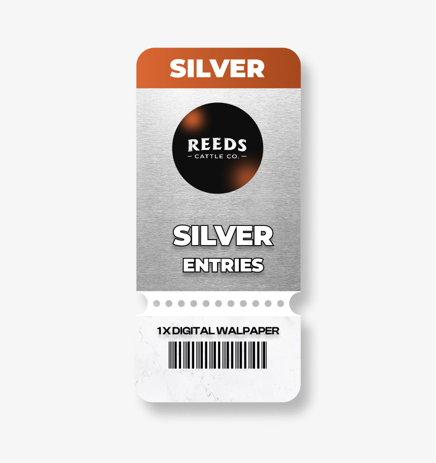 SILVER QUICK ENTRIES