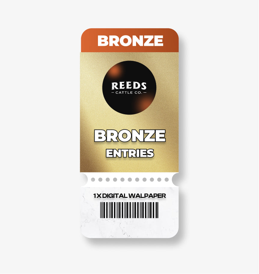 BRONZE QUICK ENTRIES