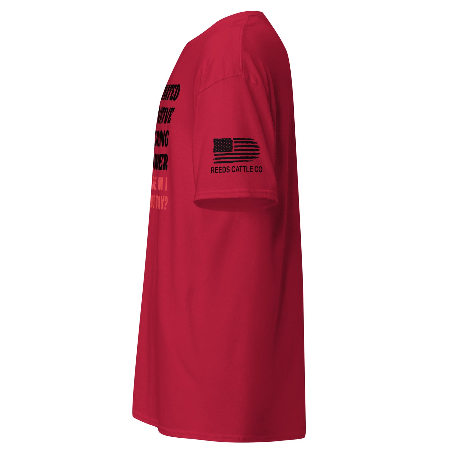 Unvaxxed Gun Owner, How Else Can I Offend You? Tee
