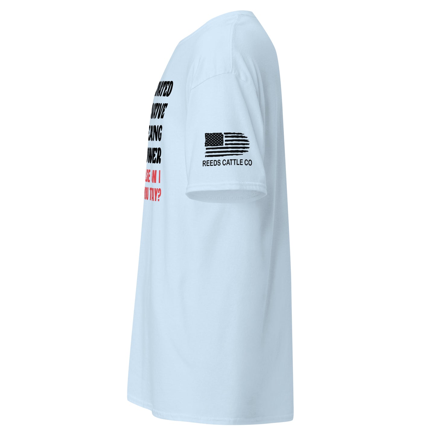 Unvaxxed Gun Owner, How Else Can I Offend You? Tee