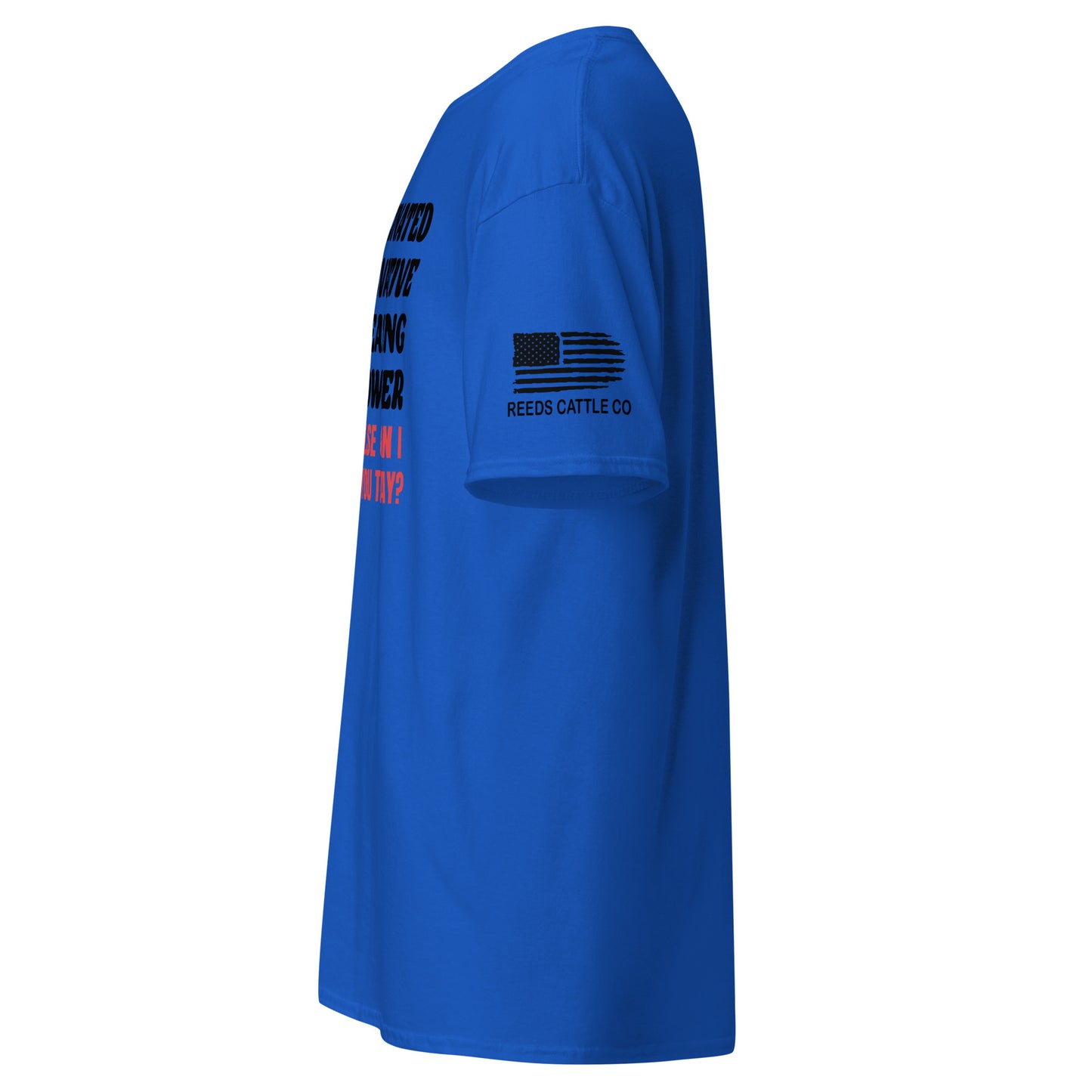 Unvaxxed Gun Owner, How Else Can I Offend You? Tee