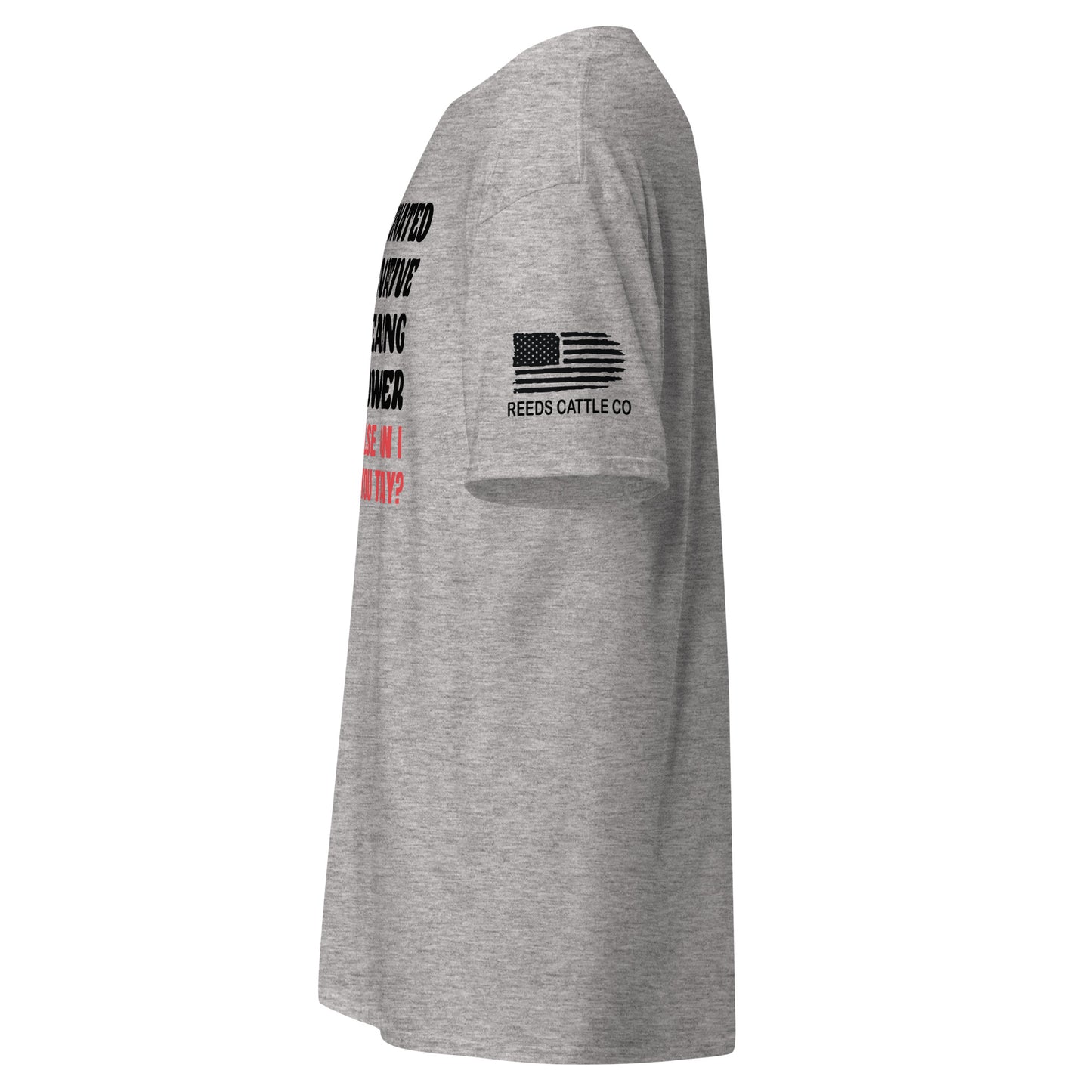 Unvaxxed Gun Owner, How Else Can I Offend You? Tee
