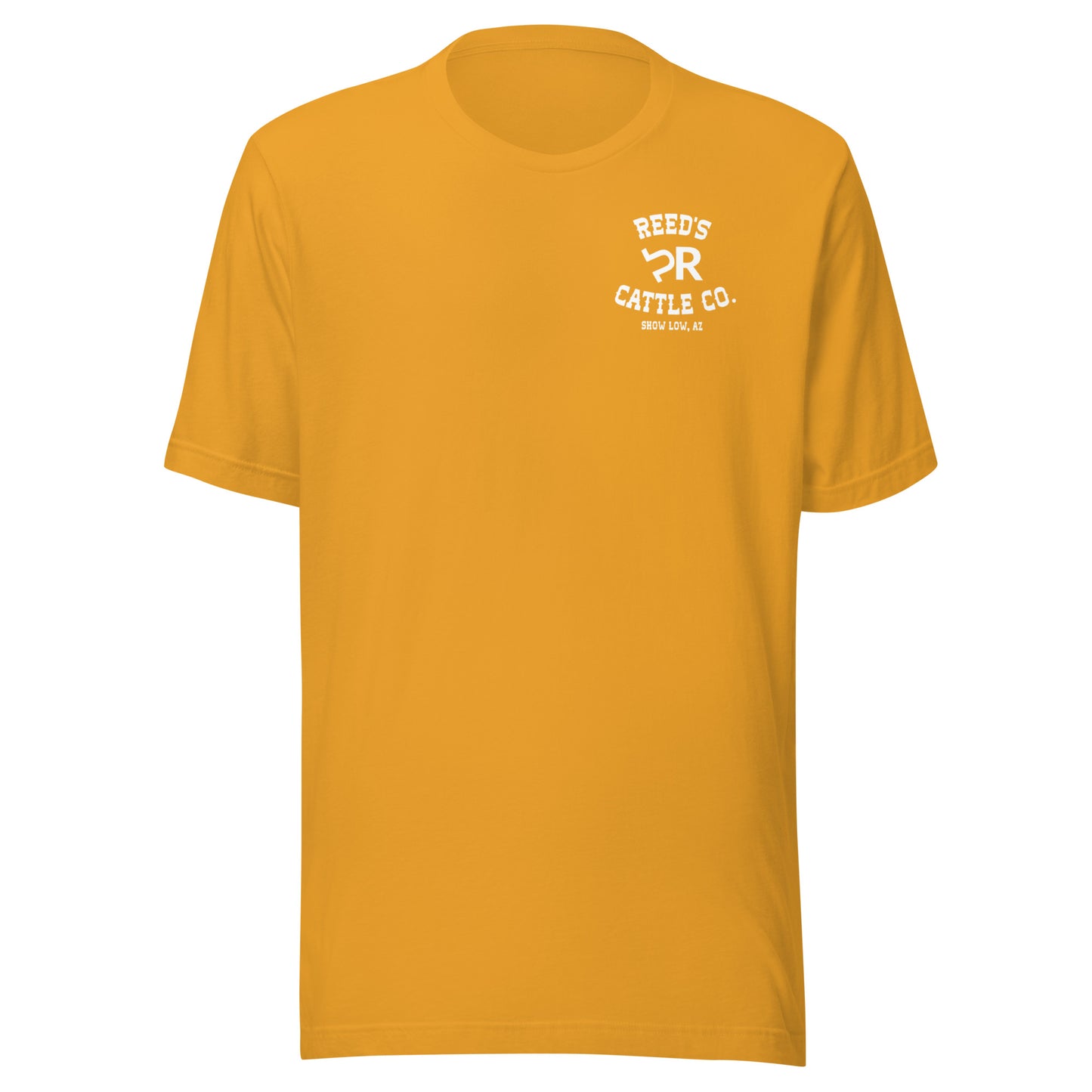 In God We Trust Guns Are Just Backup Tee