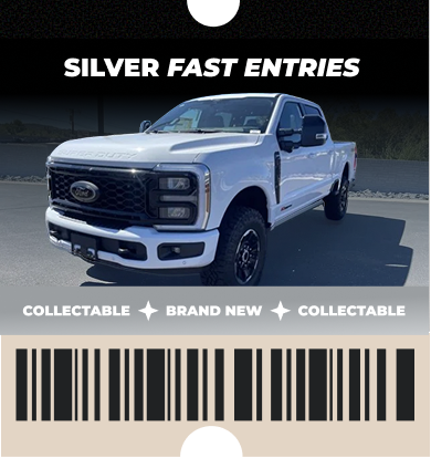 SILVER FAST ENTRIES