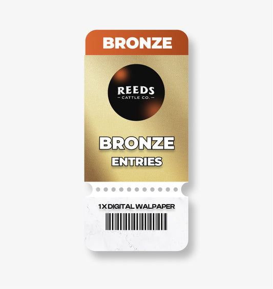 BRONZE QUICK ENTRIES
