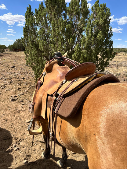 JC Martin Ranch Saddle