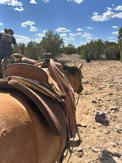 JC Martin Ranch Saddle