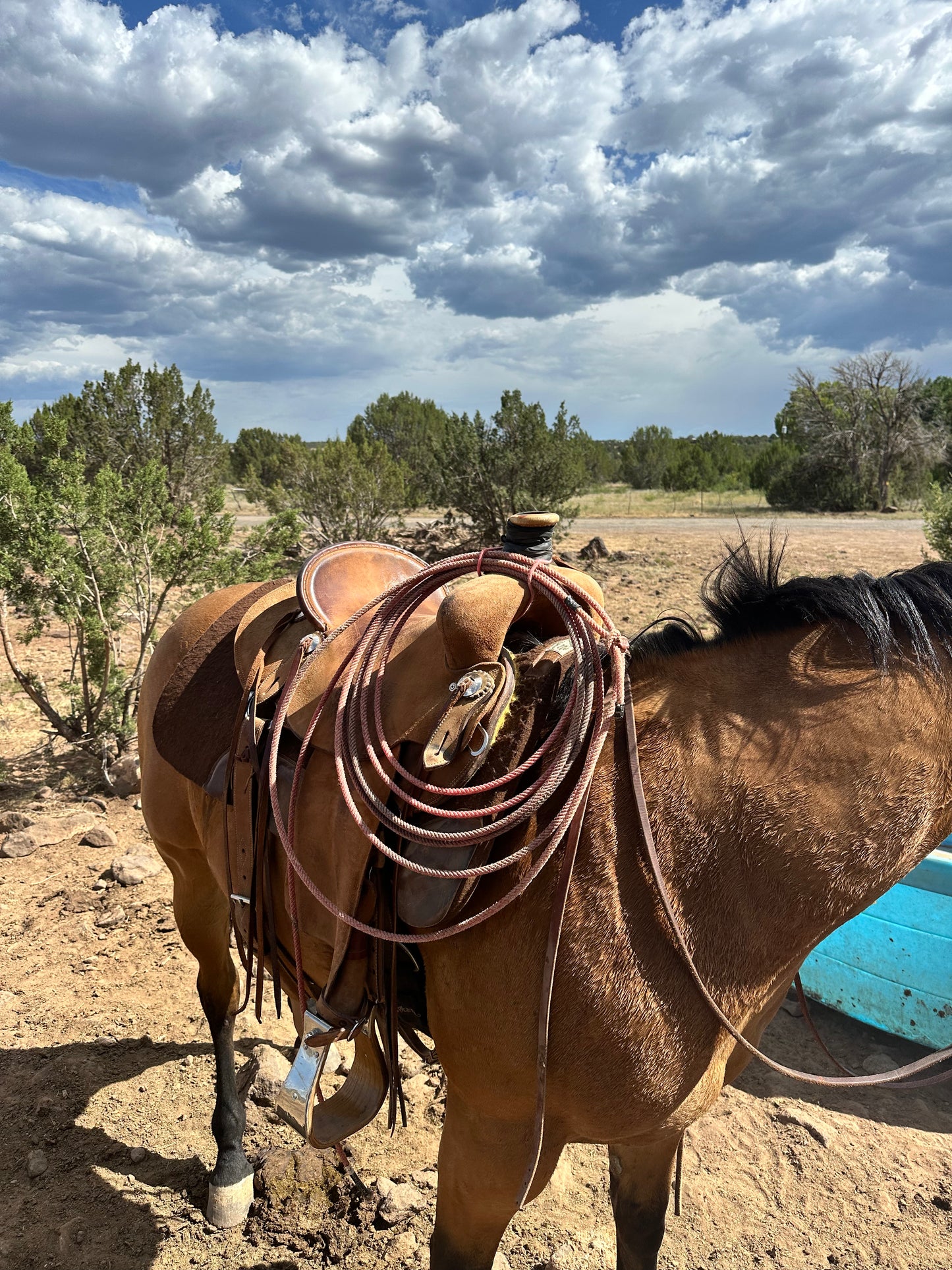 JC Martin Ranch Saddle