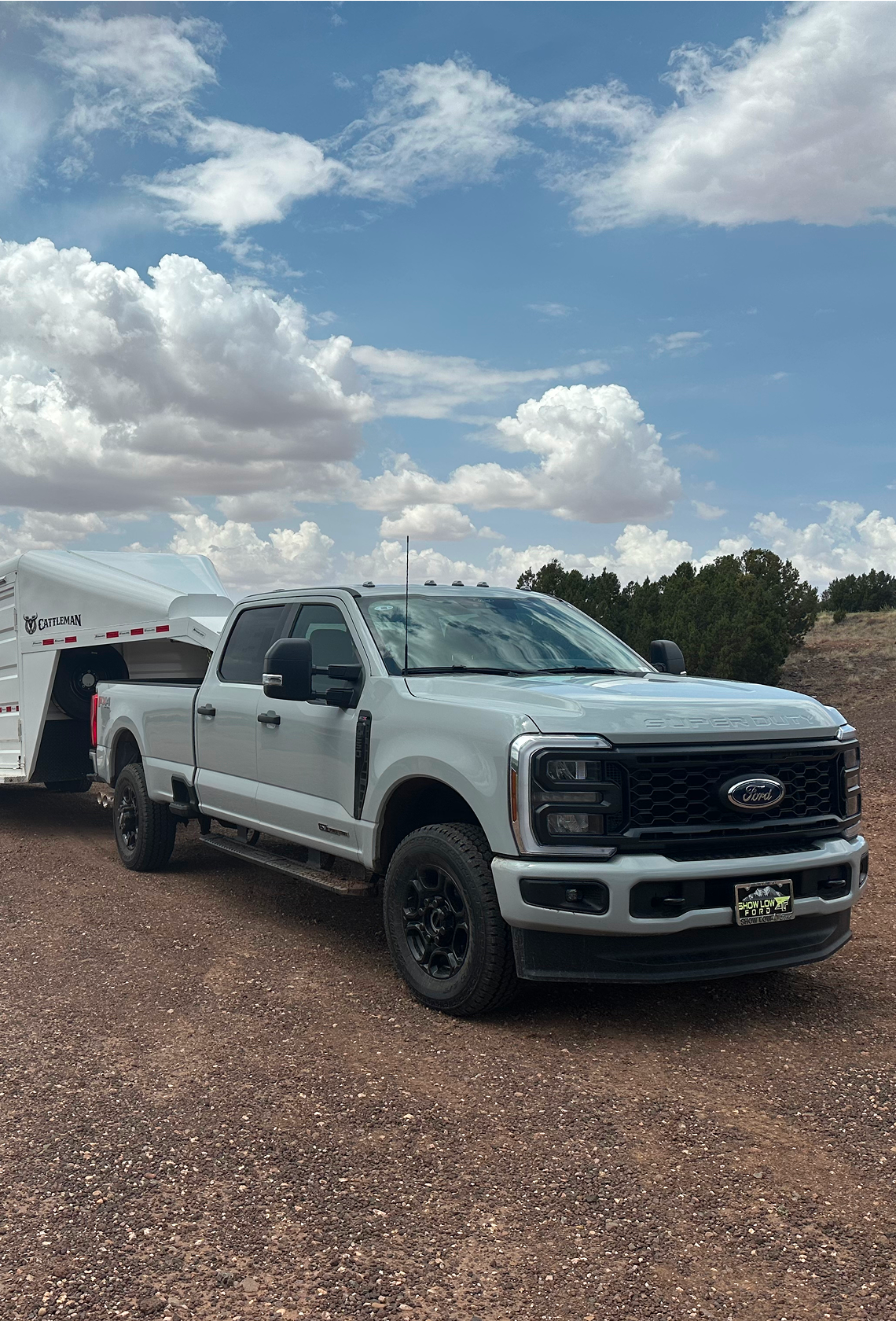 Vehicle banner
