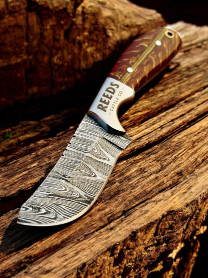 Cowboy Knife 3.25" Damascus Blade with Red Pine Cone Resin Handle