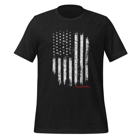 Distressed Flag Tee