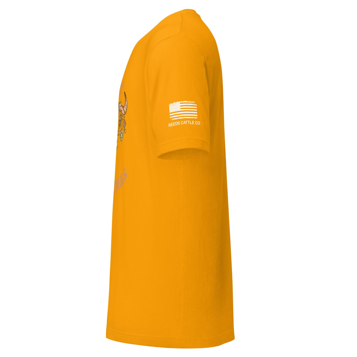 Cowboy Christmas short sleeve t-shirt